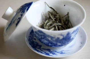白茶有药用价值的是牡丹还是寿眉