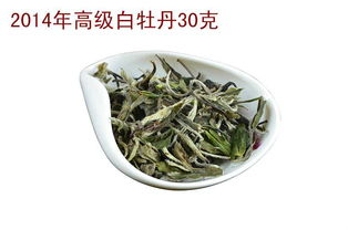 老白茶是什么茶的树叶
